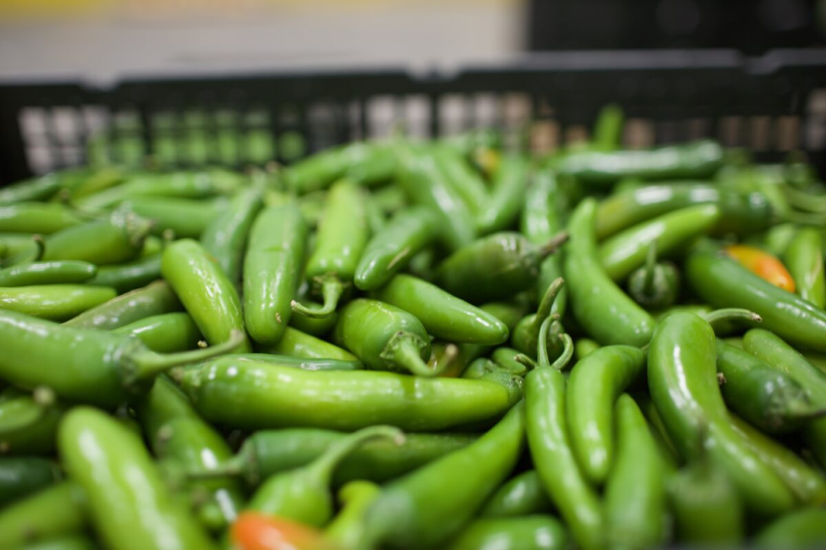 Sprouts files $10M plan for Brownsville grocery store