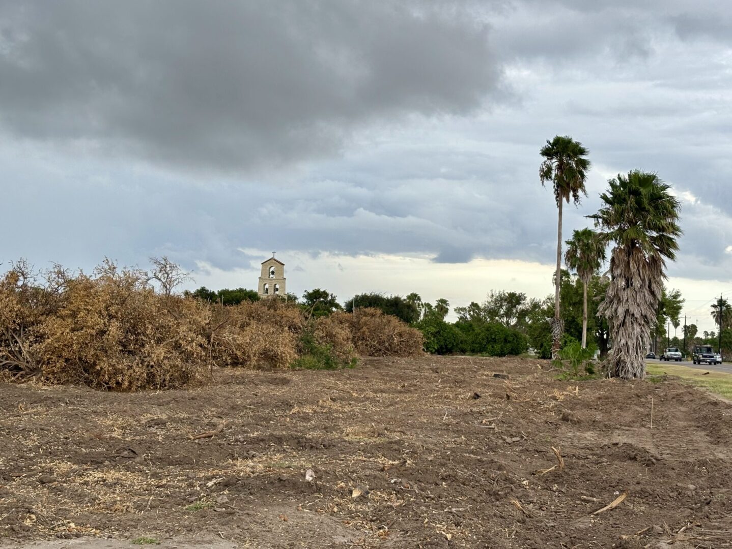 Legacy orchards near Shary Mansion wiped out