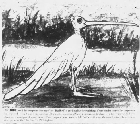 A look back: The 1975 ‘Big Bird’ mystery that haunted South Texas headlines