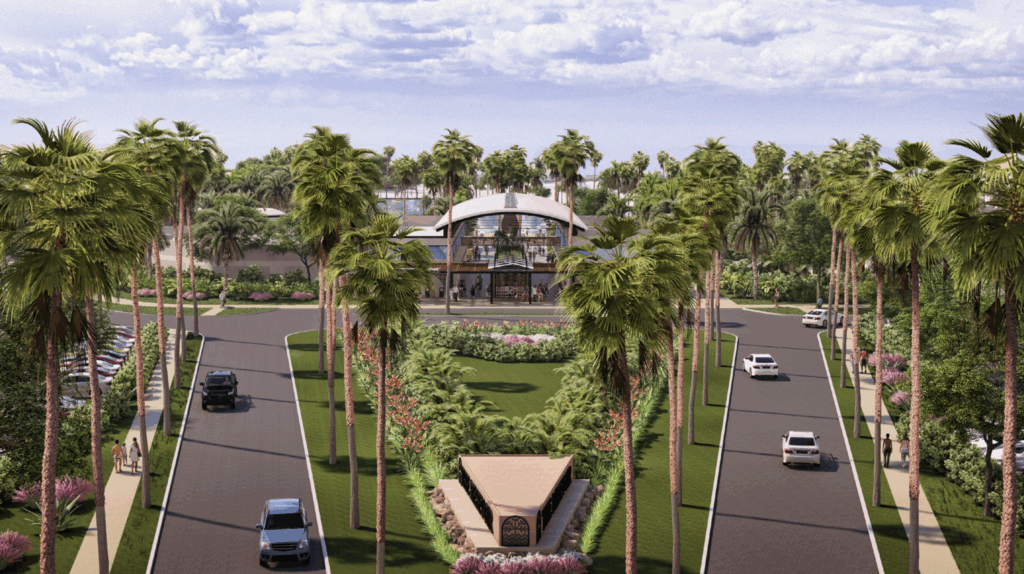 Palm Trees and cars for the entrance