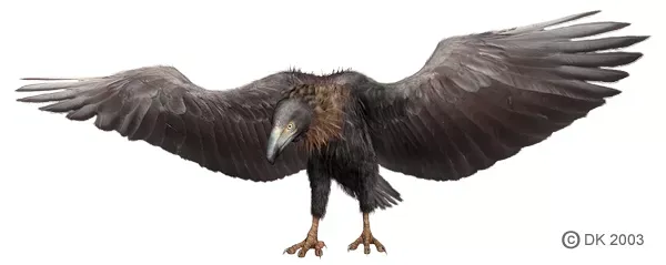 Illustration of a giant dark bird with wings fully outstretched, inspired by witness descriptions from 1975 “Big Bird” sightings in South Texas.
