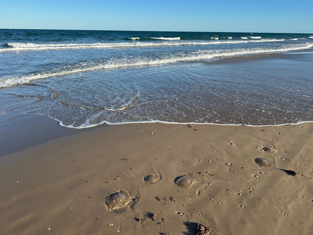 The most popular place to stay in the Rio Grande Valley this year isn’t a hotel