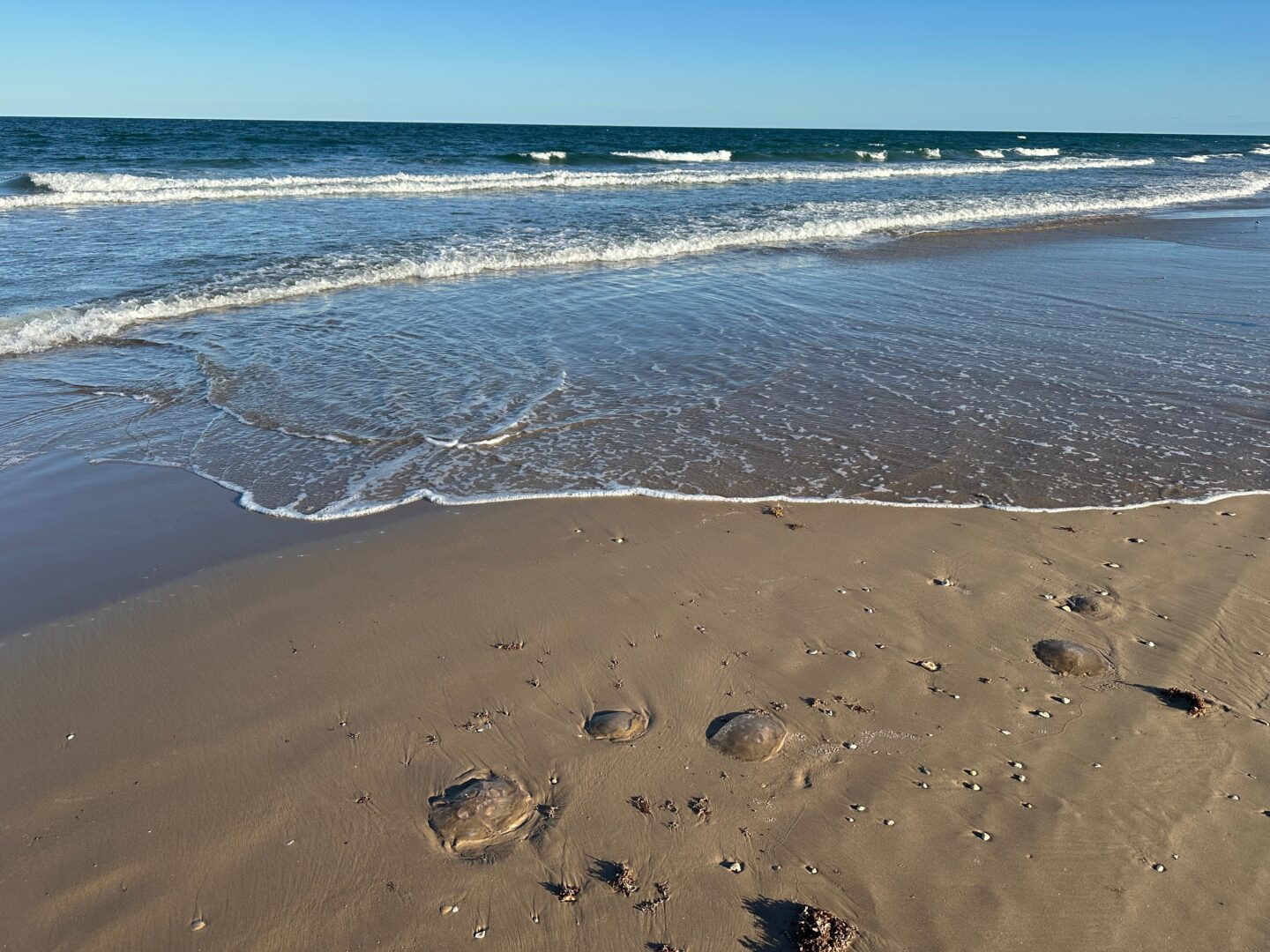 The most popular place to stay in the Rio Grande Valley this year isn’t a hotel