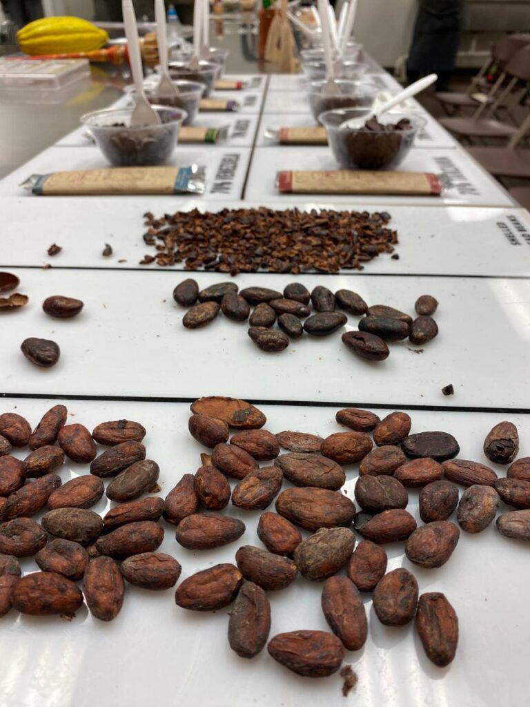 Diferentes variedades de granos de cacao que se utilizan en Mozna Chocolate, en Hidalgo.