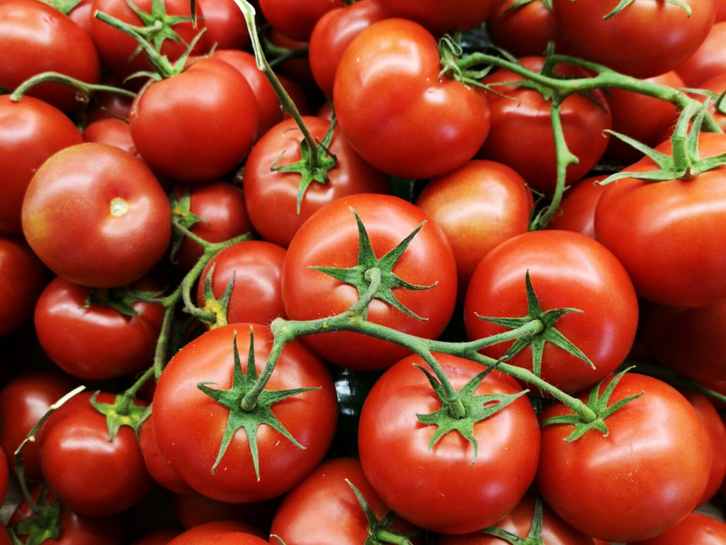 New $9.5 million cold-storage facility planned in Pharr