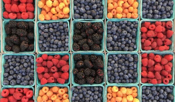 Assorted fresh berries arranged in small containers.