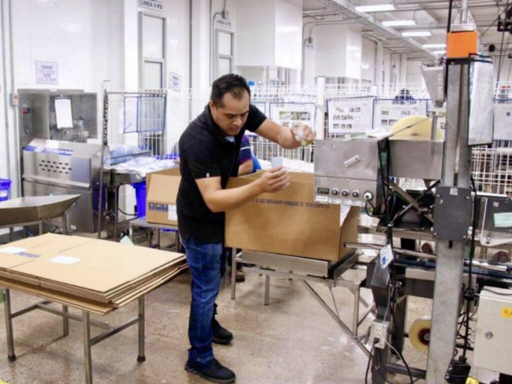 Un empleado de la fábrica maneja la maquinaria de embalaje y prepara cajas de cartón en una línea de producción dentro de una planta de fabricación.