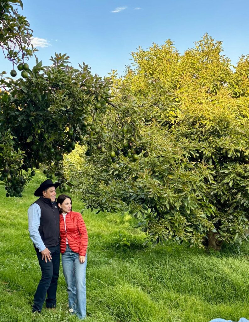 Un hombre y una mujer están de pie bajo unos árboles de aguacate en un huerto frondoso.