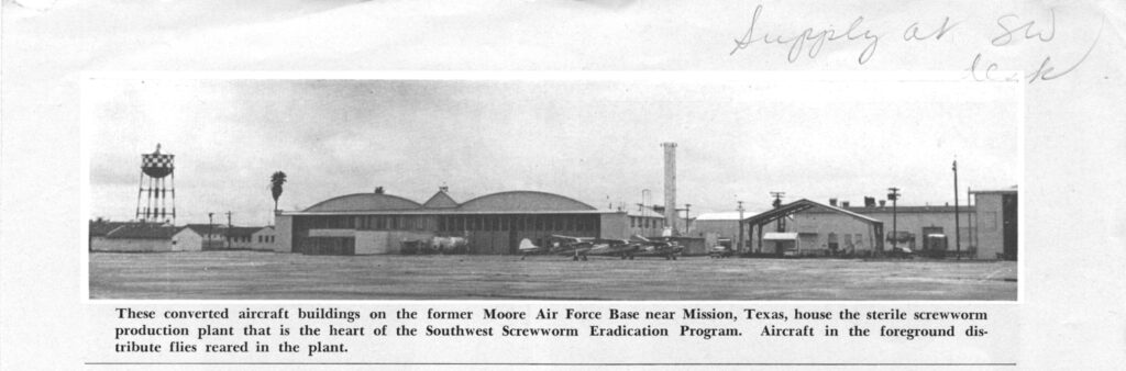 A black-and-white archival photograph showing several low aircraft hangars and industrial buildings at the former Moore Air Force Base near Mission, Texas, where sterile screwworm flies were produced as part of a federal eradication program.