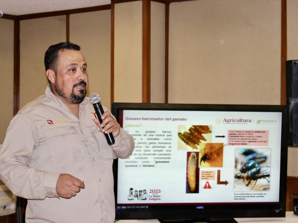 Un hombre sostiene un micrófono mientras habla junto a una pantalla de presentación en la que se muestran imágenes e información sobre el parásito «gusano de tornillo del Nuevo Mundo», que afecta al ganado.