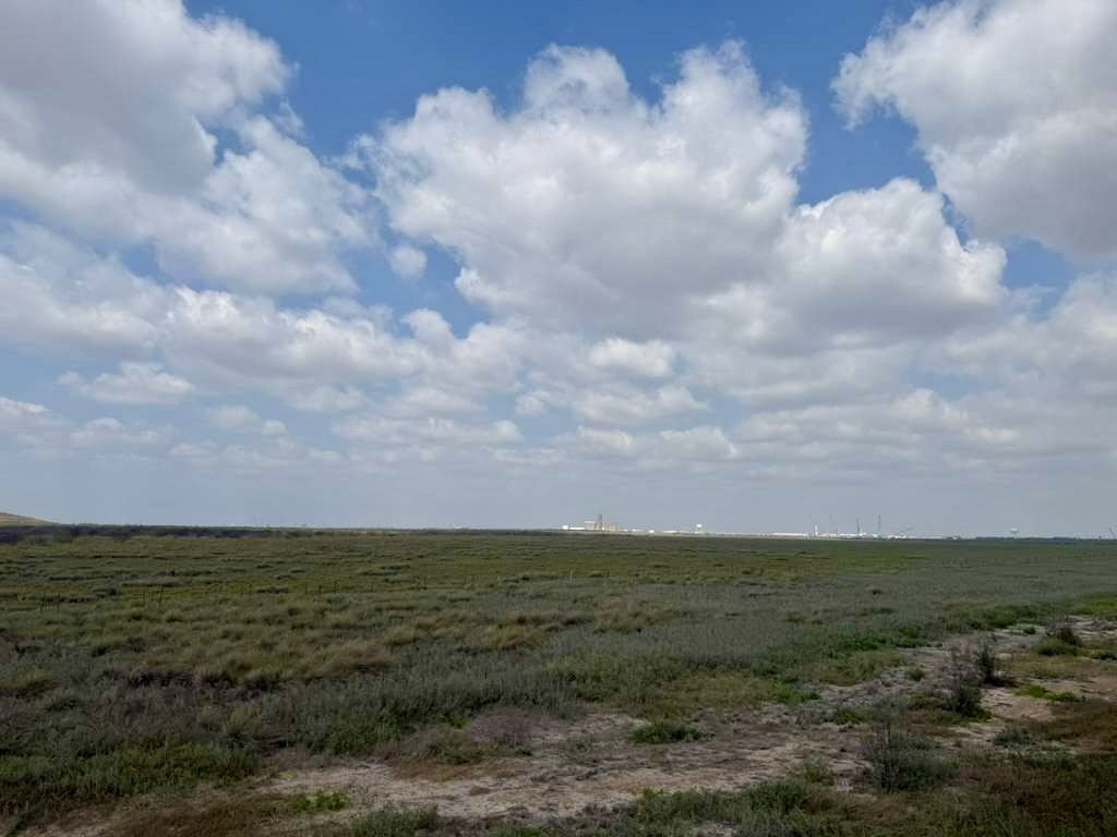 Wide view of undeveloped land near the Port of Brownsville Ship Channel, where a proposed oil refinery project could be built.