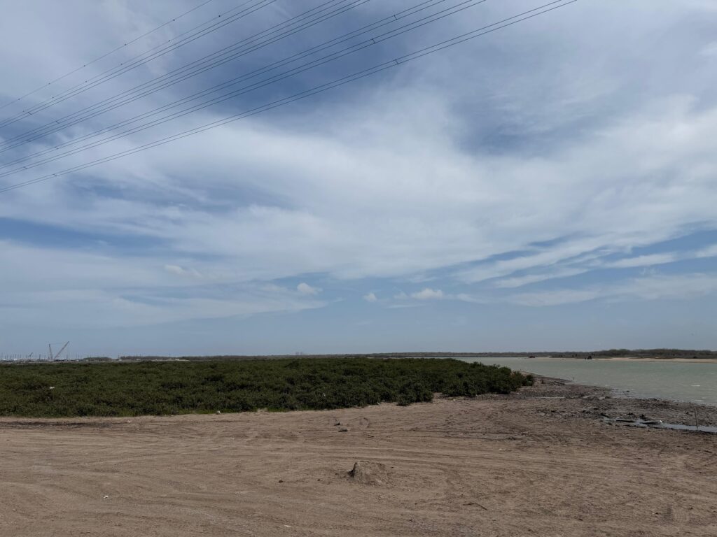 A view from the Carl “Joe” Gayman Restoration Bridge along TX-48 looking towards the Brownsville Ship Channel. On the left hand side is Rio Grande LNG export terminal. In the distance are the SpaceX towers. To the right of the towers across the ship channel is where the proposed shipyard by Austin-based Saronic Technologies would be built. Photo Credit | Kristen Mosbrucker-Garza
