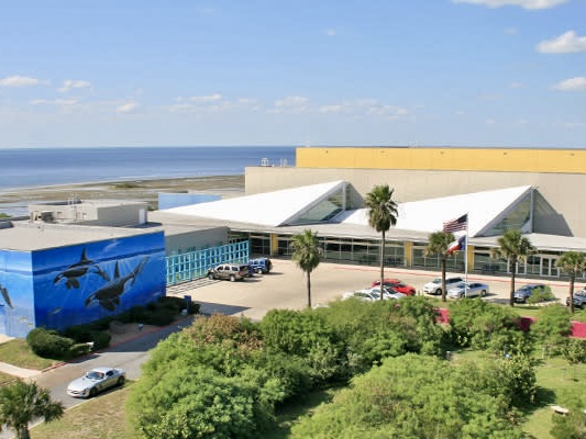 Vista aérea del Centro de Convenciones de South Padre Island, cerca de la playa, en la que se aprecia el exterior del edificio, los coches aparcados, las palmeras y el Golfo de México al fondo.