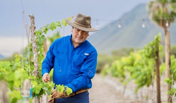 Eloy Reyna, wearing a blue shirt and cowboy hat, tends grapevines at his vineyard in Jaumave with mountains in the background.