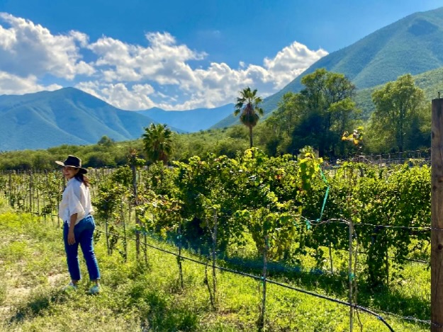 Una mujer está de pie junto a hileras de parras en un viñedo rodeado de verdes montañas, bajo un cielo radiante.