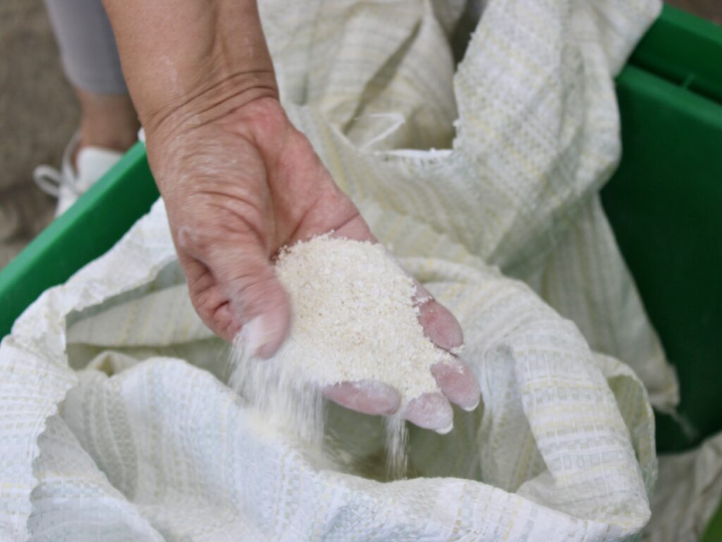 Una mano sostiene material de cáscara de huevo finamente triturado sobre una bolsa de recogida durante el proceso de tratamiento del proyecto de biofiltro de aguas residuales del Proyecto MADRE.