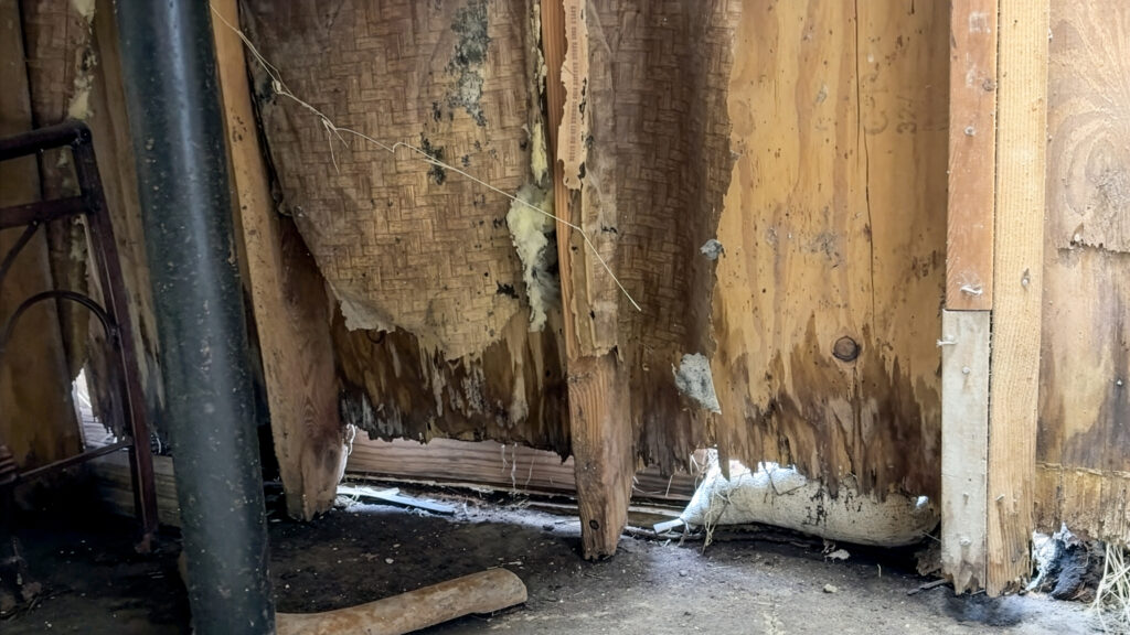 Interior wall damage and rotting wood inside the aging VFW Post 2410 building.