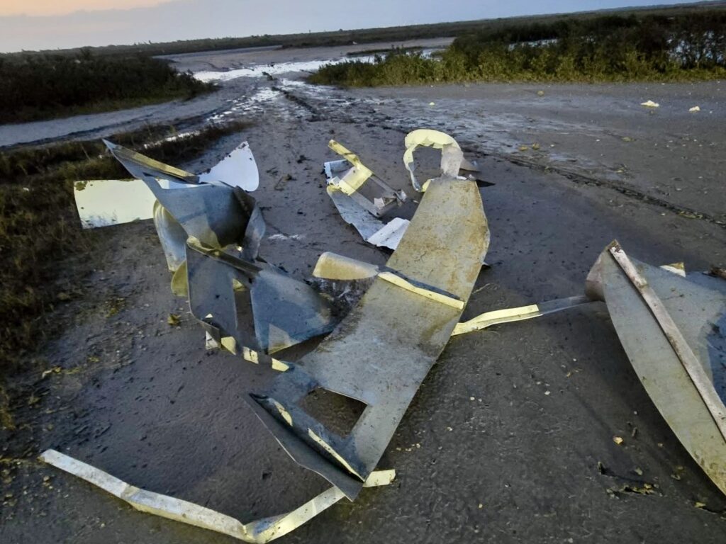 Large metal debris pieces are scattered on muddy ground near wetland vegetation.