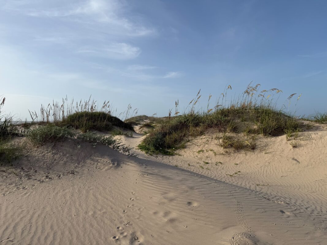 SpaceX bought land worth at least $2.1 million on South Padre Island, so we visited the public beach next door