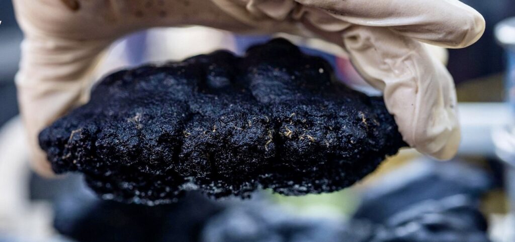 A gloved hand holds a dark polymetallic nodule.