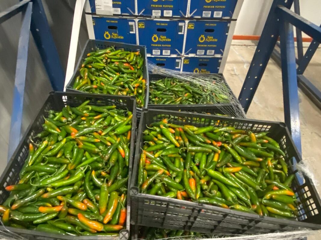 Texas-Mexico fresh produce trade generated $26B in U.S. economic activity in 2025