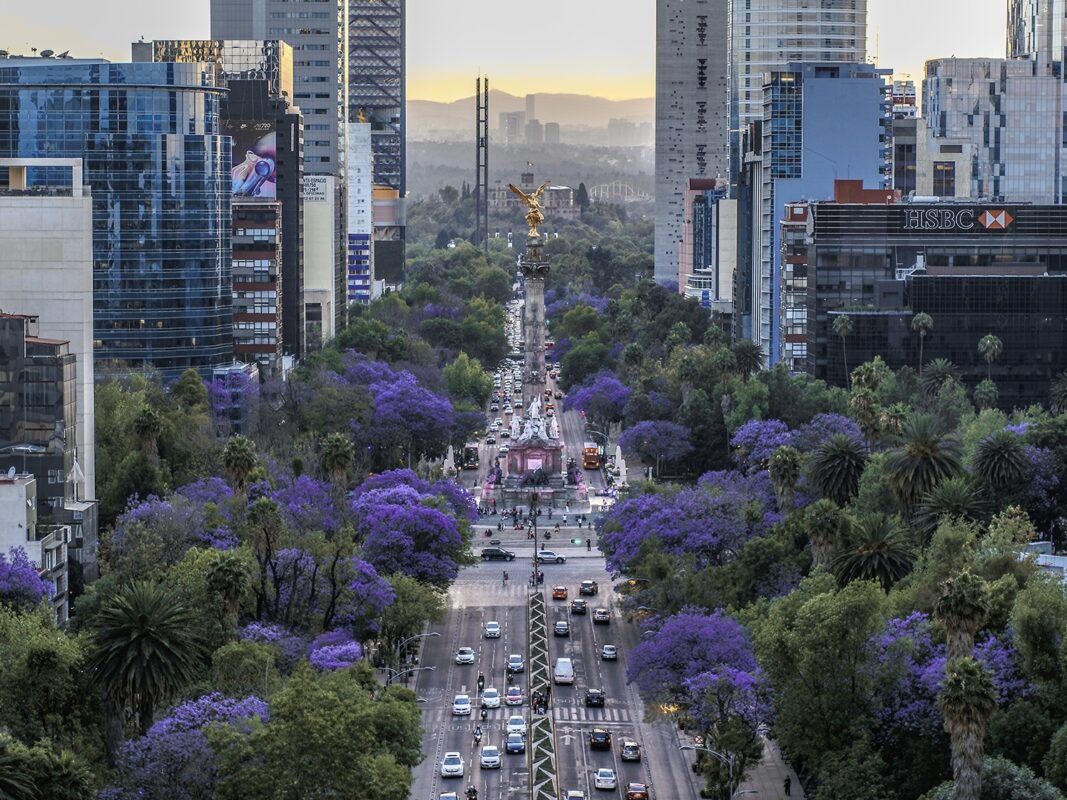 RioPlex takes South Texas, Northern Tamaulipas investment pitch to Mexico City