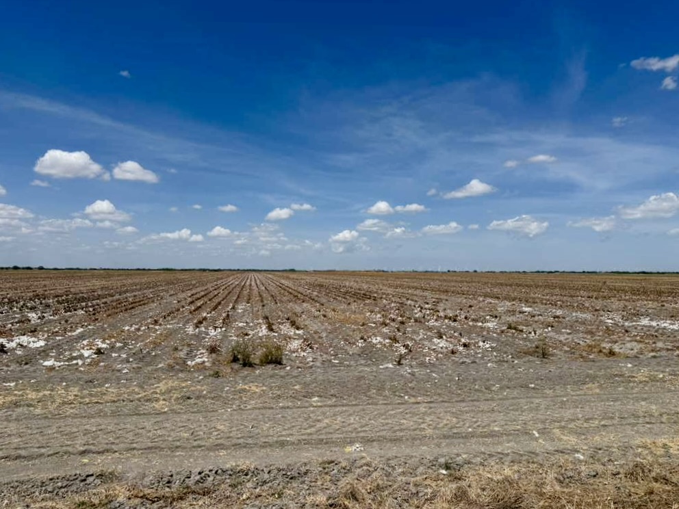 Farmland and utility poles line a rural road east of Harlingen.