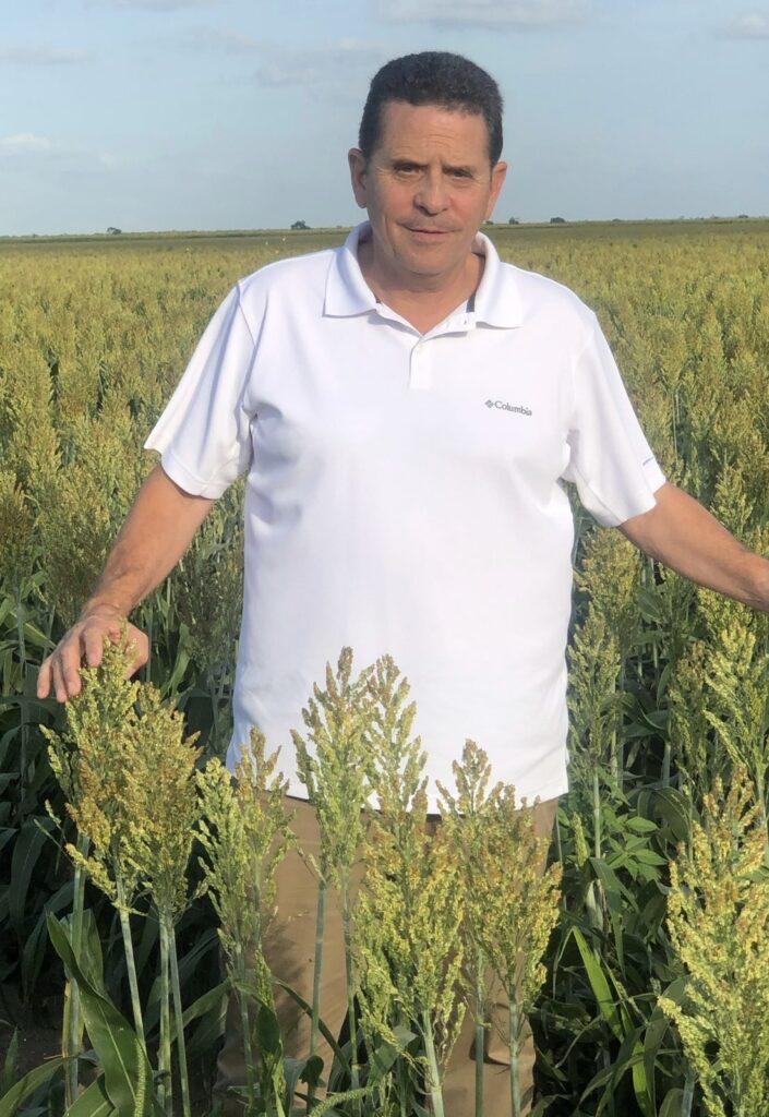 Rogelio García Moreno stands in a sorghum field in northern Tamaulipas.