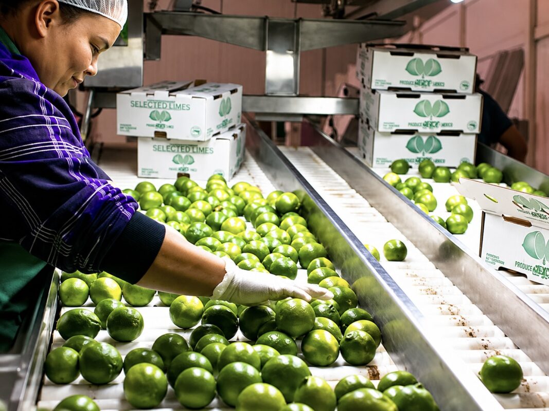 Produce company plans $3M expansion in South McAllen