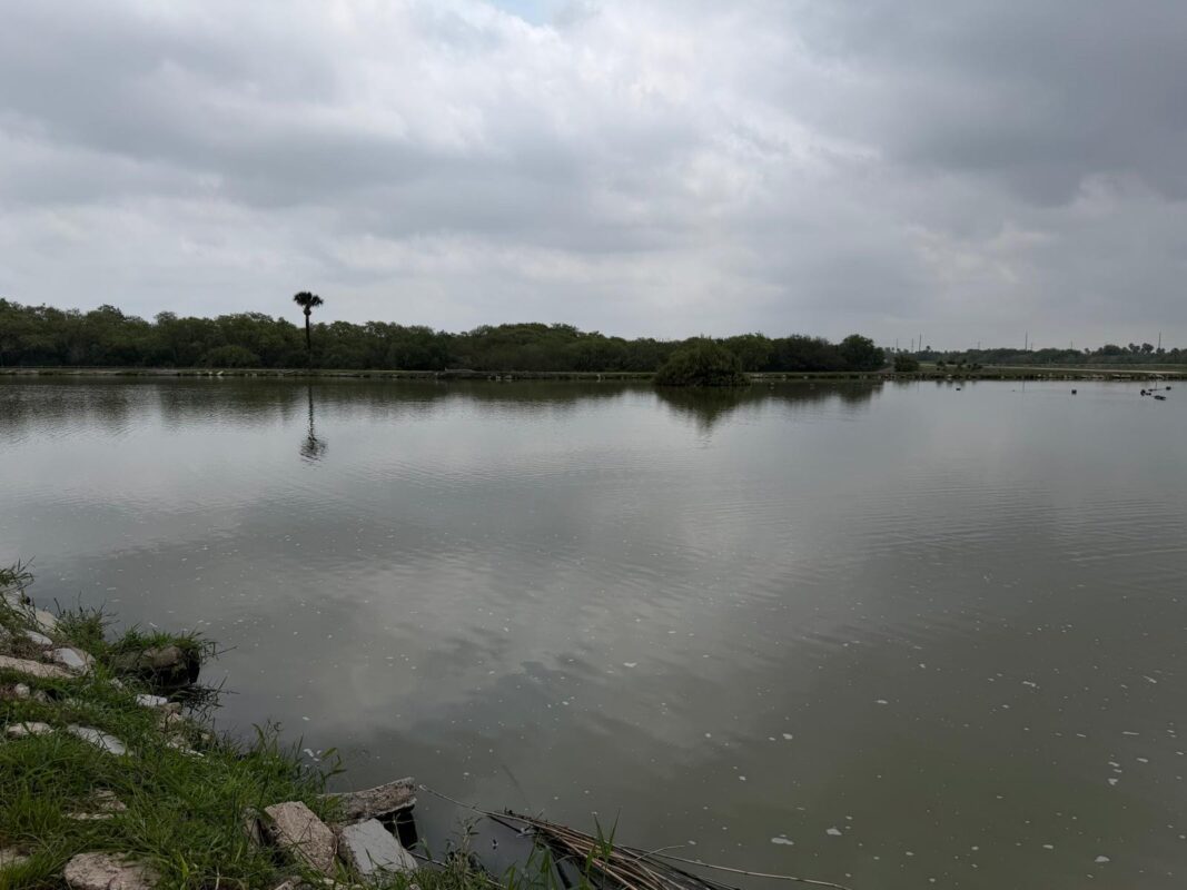 Brownsville is changing its drainage fee. Businesses could pay more as the city looks to raise $6.2M a year