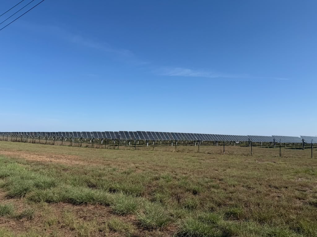 Starr County’s next solar farm moves forward as contractor ramps up hiring